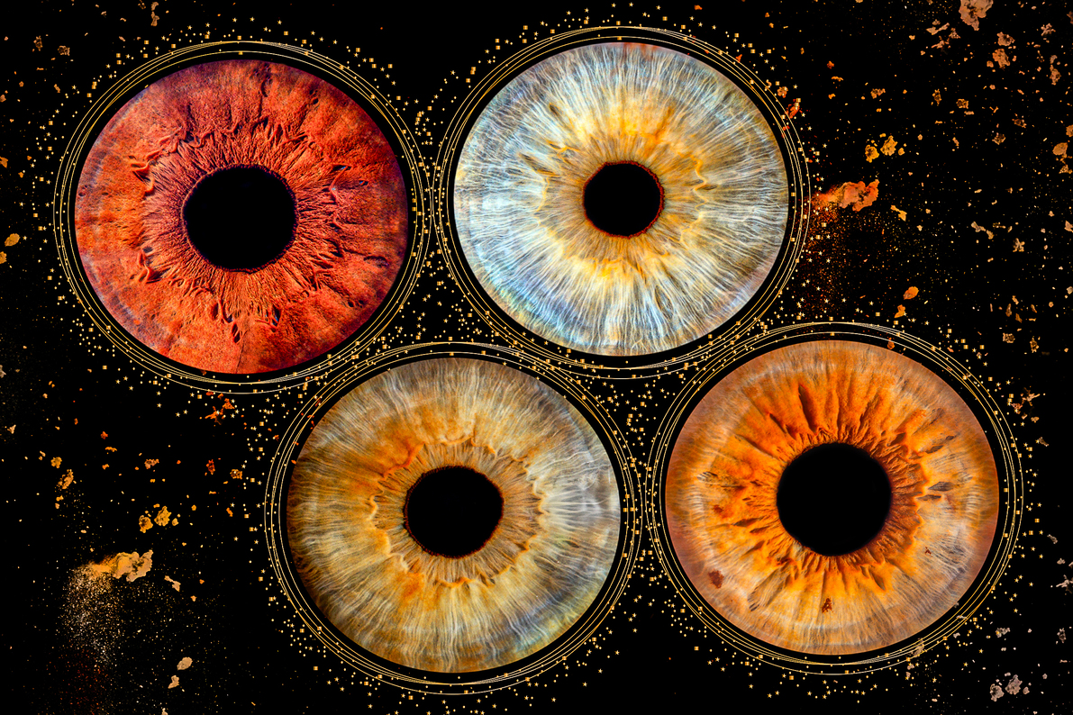 Image service Portrait & Iris